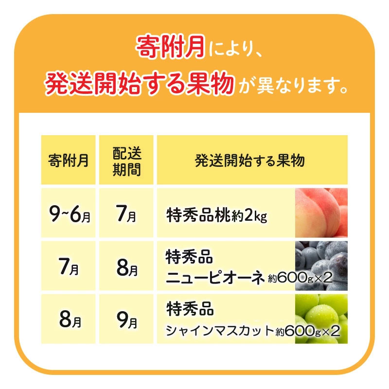 M102-0035_【特秀品!】夏のいいとこどり定期便♪