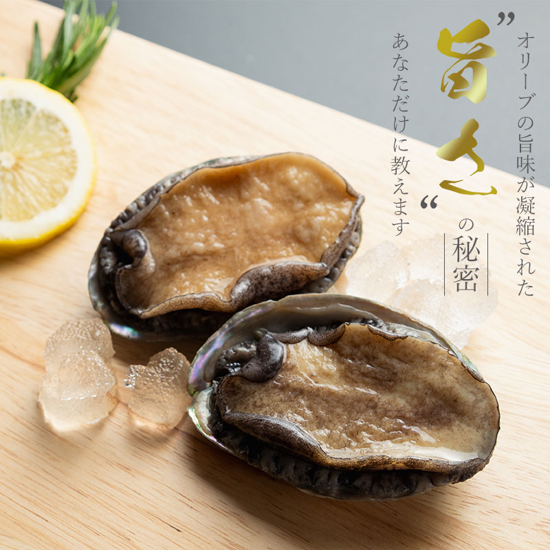 オリーブあわび　約1kg（10〜12個程度）×6回　定期便殻付き【配送不可地域：北海道・東北・沖縄県・離島】_M77-0006