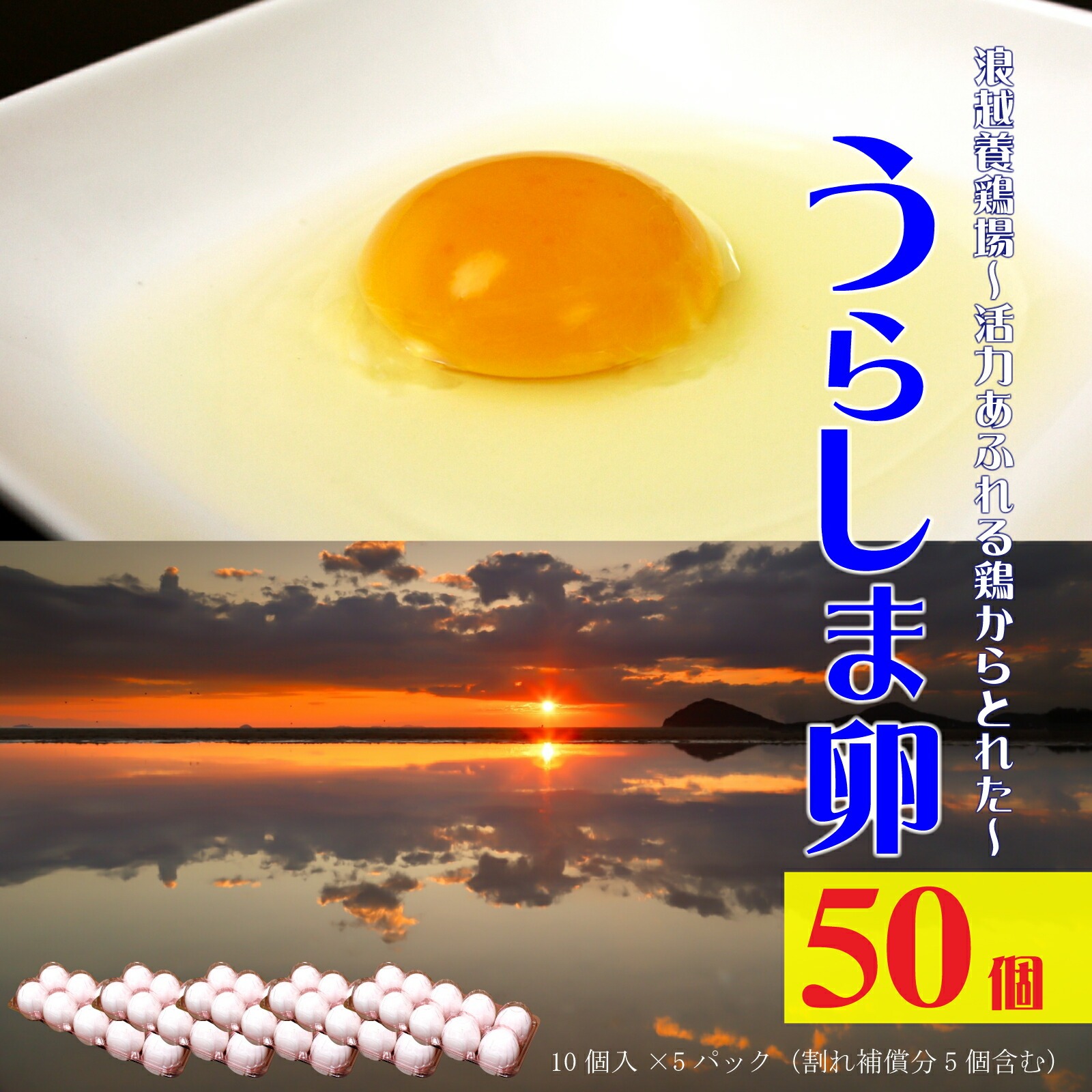 M95-0104_新鮮【うらしま卵】〜竜宮からの贈りもの〜たまご５０個（45個＋割れ補償5個）