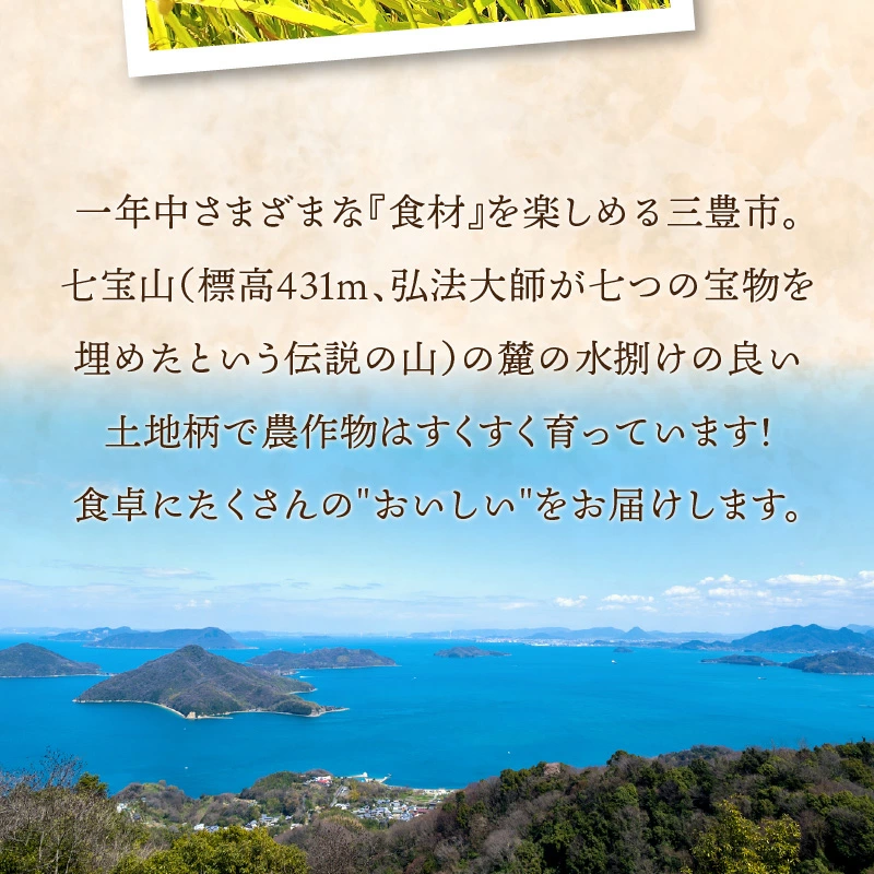 【新米おいしいお米】【ヒノヒカリ　20kg】（5kg×4袋）_M64-0082