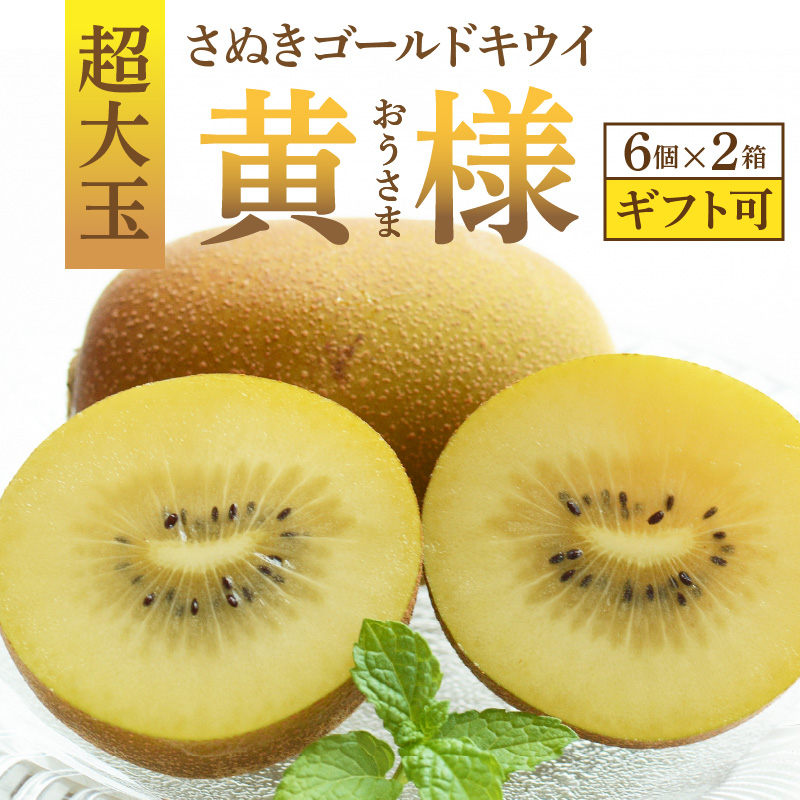 M72-0011_【10月下旬より】さぬきゴールドキウイ「黄様」超大玉6個入り×2箱【ギフト可】