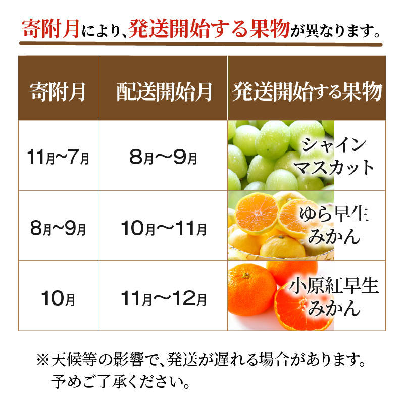 M64-0049_産地厳選三豊のフルーツ3回定期便 I