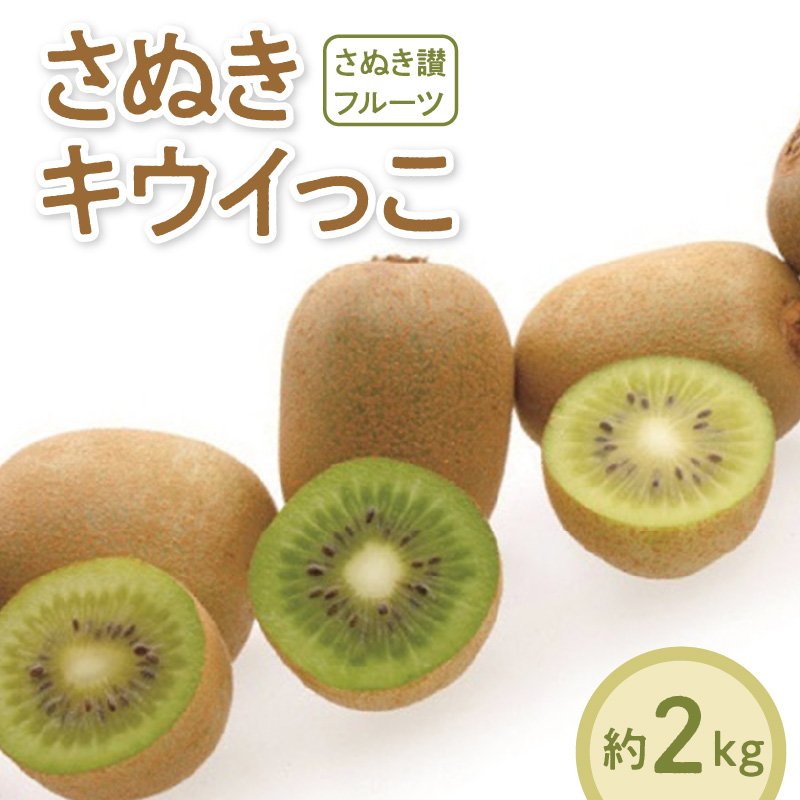 M02-0142_【ふるさと納税】【さぬき讃フルーツ】さぬきキウイっこ 約2kg