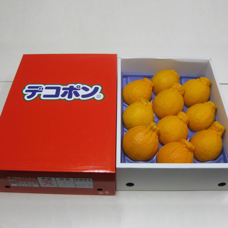 M02-0144_縲舌&縺ャ縺崎ョ繝輔Ν繝シ繝縲代ワ繧ヲ繧ケ繝繧ウ繝昴Φ 邏3kg蛹也イァ邂ア蜈・繧