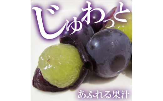 M64-0085_繝斐が繝シ繝 荳芽ア雁クら肇 1.2kg 2縲3謌ソ