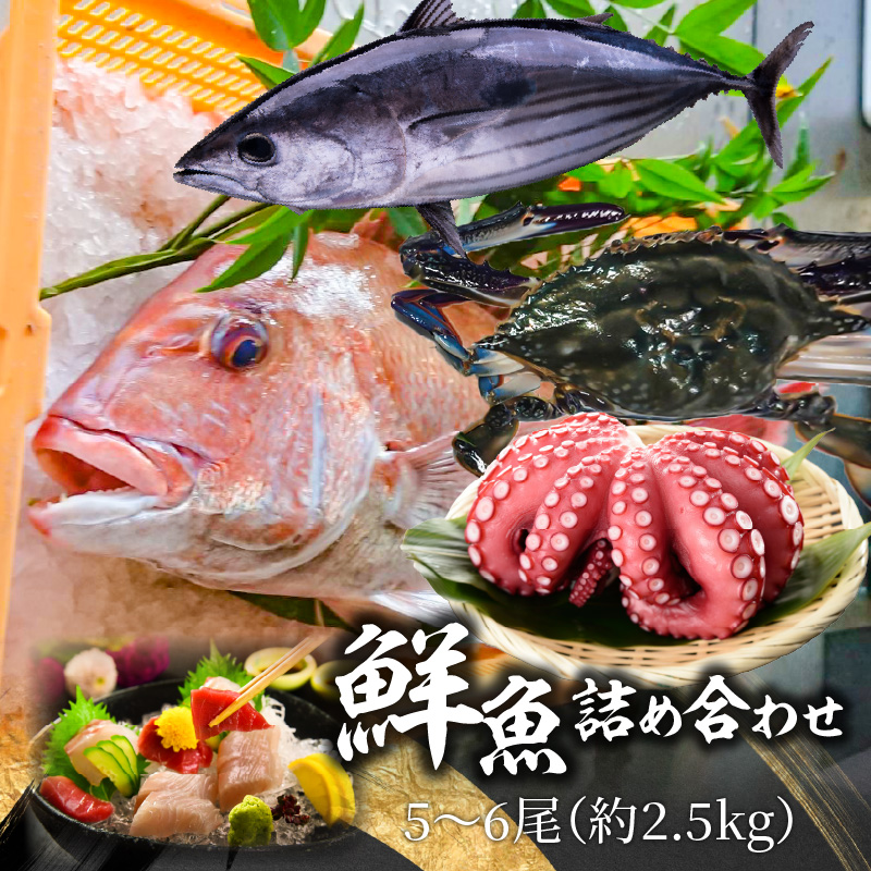 M77-0002_【ふるさと納税】鮮魚詰め合わせ 5～6尾(約2.5kg)