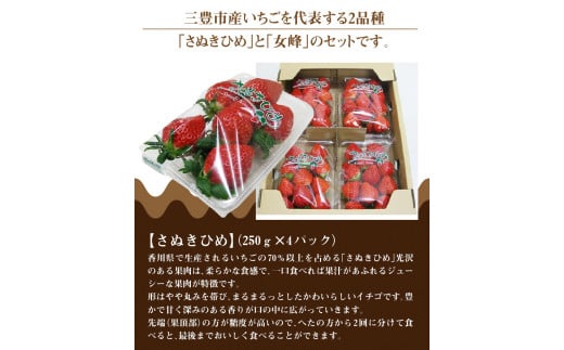 M02-0030_三豊のいちご食べ比べセット(1月以降発送)