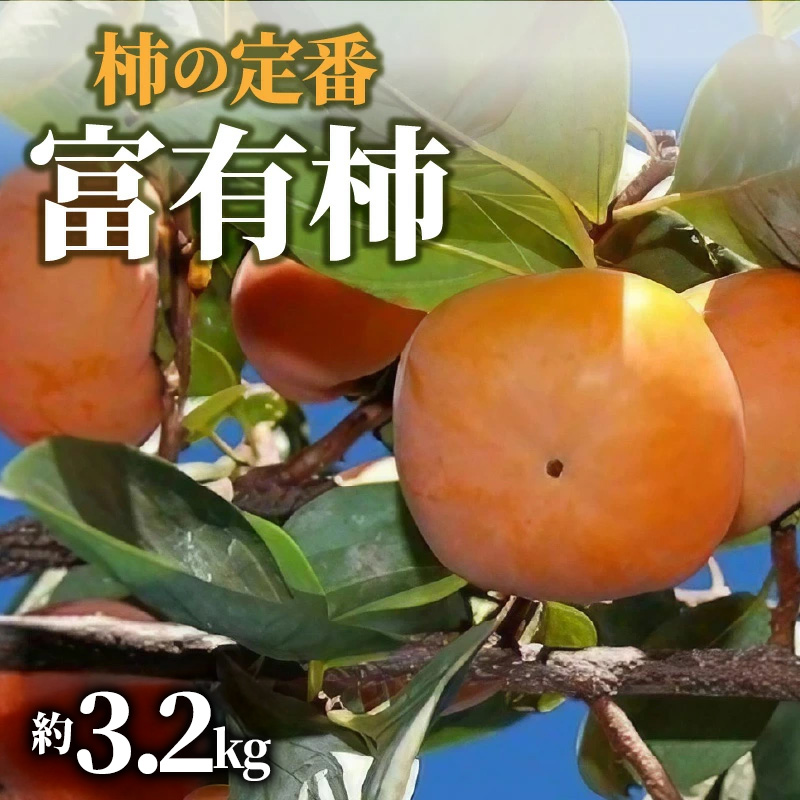 M02-0091_柿の定番「富有柿」約3.2kg