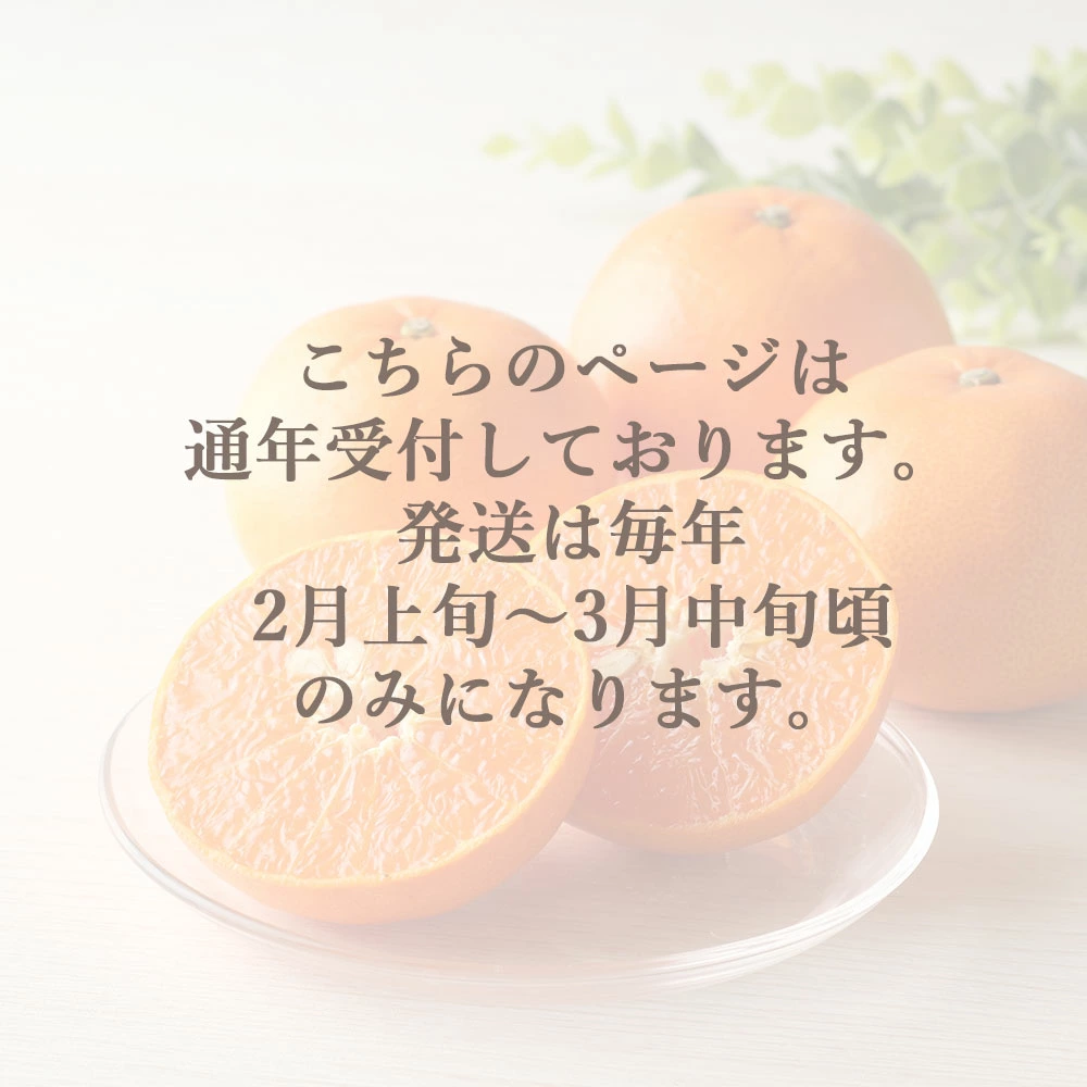 M64-0084_せとか 三豊市産 約5kg