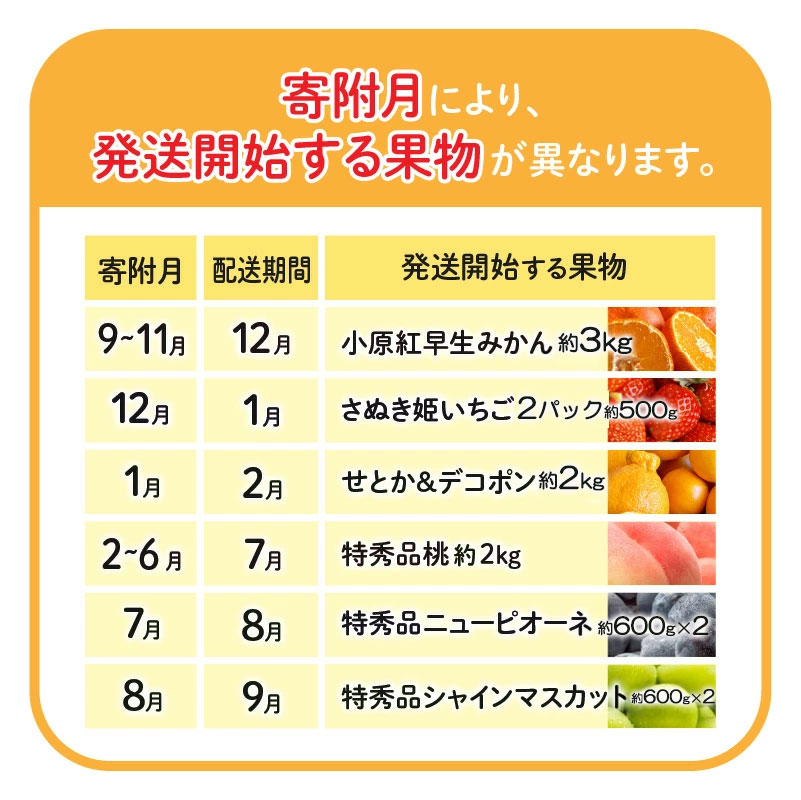 M102-0037_【ふるさと納税】【配送不可地域:北海道・沖縄県・離島】桃 7月 ニュー ピオーネ 8月 シャインマスカット 9月 約3kg 小原紅早生 みかん 12月 約2kg せとか デコポン 2月 さぬき姫 イチゴ 約500g 1月 定期便 果実 鮮度 老舗 旬 フルーツ王国 香川県 三豊市 送料無料