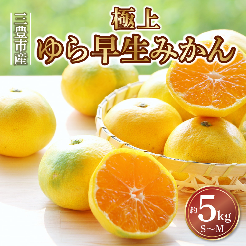 M64-0013_【ふるさと納税】【10月中旬より発送】三豊市産 極上【ゆら早生みかん 約5kg】S～Mサイズ