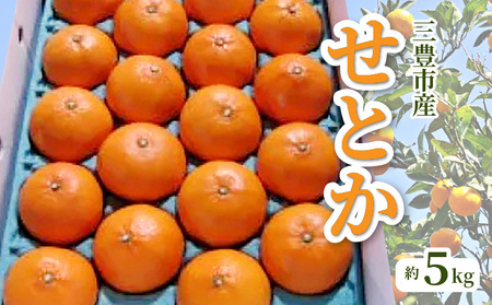 M02-0090_【ふるさと納税】三豊市産せとか 約5kg