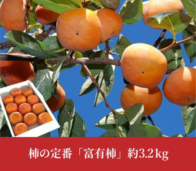 M02-0091_柿の定番「富有柿」約3.2kg