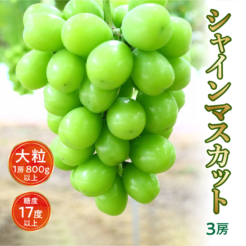 M64-0007_縲8譛井ク区流繧医j逋コ騾√代す繝」繧、繝ウ繝槭せ繧ォ繝繝亥、ァ邊 3謌ソ縲800g莉・荳翫代千ウ門コヲ17蠎ヲ莉・荳翫