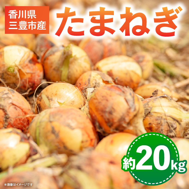 M02-0054_三豊市のたまねぎ 約20kg