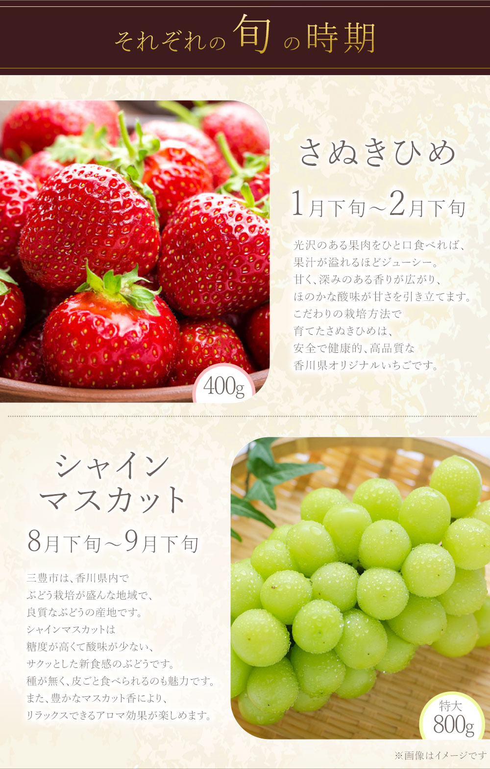 フルーツ定期便 2回 三豊市 さぬきひめいちご 400g 特大シャインマスカット 800g【配送不可地域：北海道・沖縄県・離島】_M02-0205