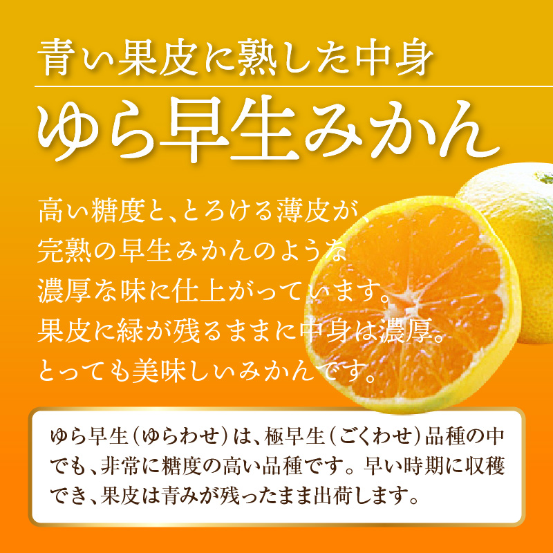 産地厳選三豊のフルーツ・お米３回定期便　J_M64-0050