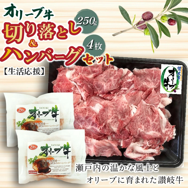 M04-0084_オリーブ牛切り落とし250g&ハンバーグ4枚セット