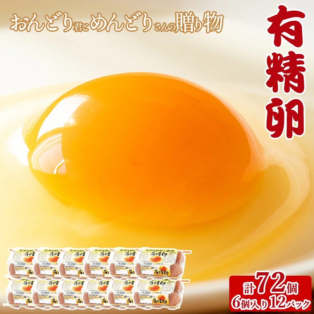 M151-0002_【ふるさと納税】おんどり君とめんどりさんの贈り物(6個入り×12P 計72個)