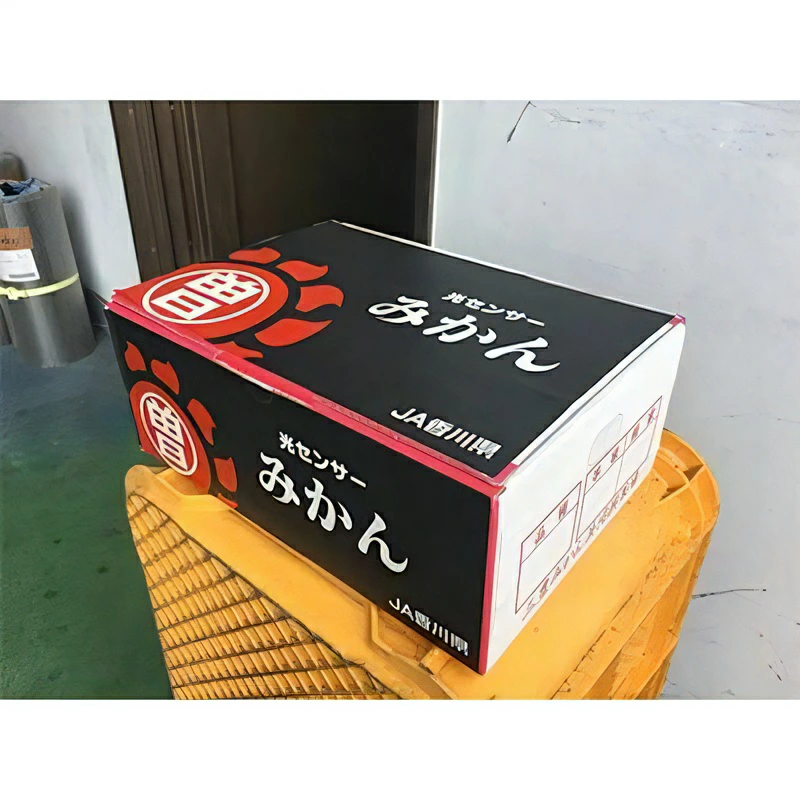 M02-0146_縲舌槭Ν譖ス縲大峨そ繝ウ繧オ繝シ迚ケ驕ク 譖ス菫昴∩縺九s(邏3kgテ2邂ア)