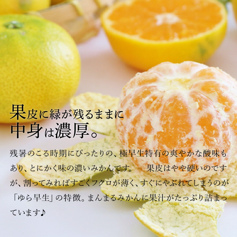 M64-0013_【10月中旬より発送】三豊市産 極上【ゆら早生みかん 約5kg】S〜Mサイズ