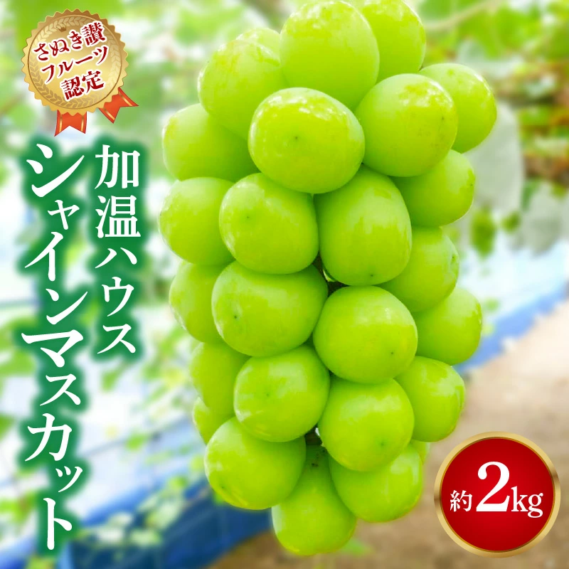 M72-0001_【ふるさと納税】【7月上旬から】【さぬき讃フルーツ】加温ハウス シャインマスカット 約2kg