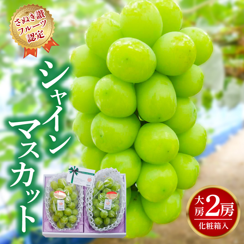 M72-0008_【8月20日から】【さぬき讃フルーツ】シャインマスカット 大房2房(化粧箱入り)