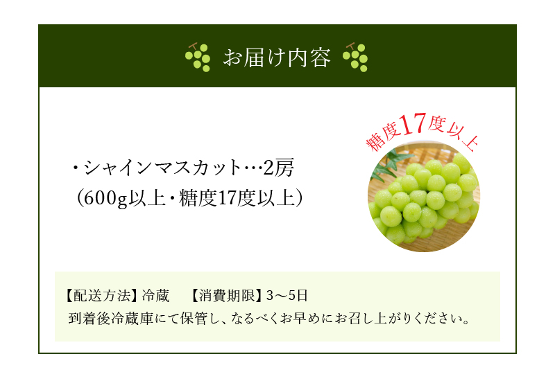 M64-0009_【9月上旬より発送】シャインマスカット2房【600g以上】【糖度17度以上】