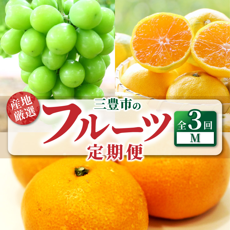 M64-0053_ããµãããšçŽçšãç£å°å³éžäžè±ã®ãã«ãŒã3åå®æäŸ¿ M