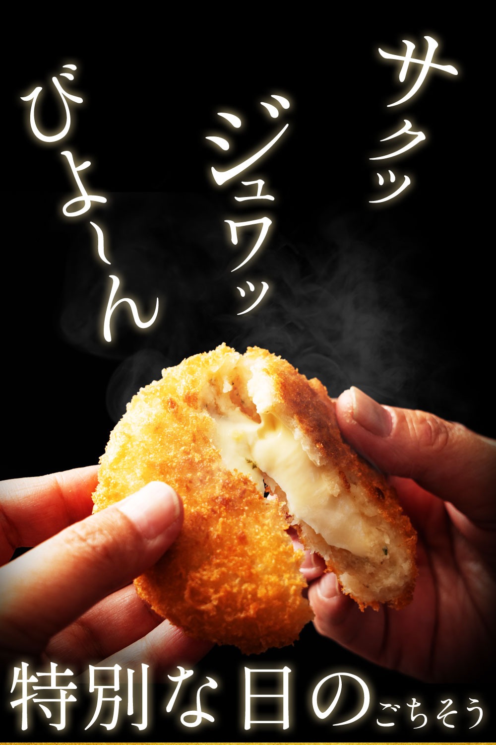 M06-0030_ã³ããã±ããŒãºã·ãªãŒãºå®æäŸ¿(12å)