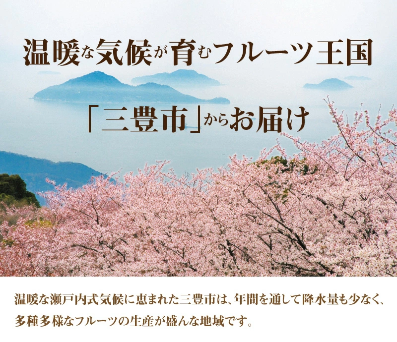 とろける食感 「せとか」 約3kg化粧箱入り_M02-0025