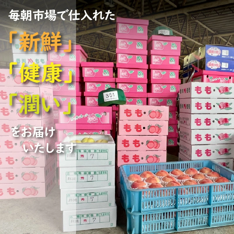 M102-0037_【ふるさと納税】【配送不可地域:北海道・沖縄県・離島】桃 7月 ニュー ピオーネ 8月 シャインマスカット 9月 約3kg 小原紅早生 みかん 12月 約2kg せとか デコポン 2月 さぬき姫 イチゴ 約500g 1月 定期便 果実 鮮度 老舗 旬 フルーツ王国 香川県 三豊市 送料無料