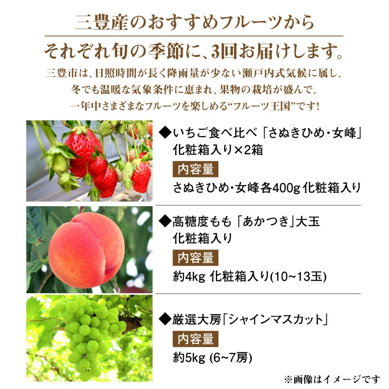 M02-0114-R_フルーツ王国みとよの特選こだわり3品定期便