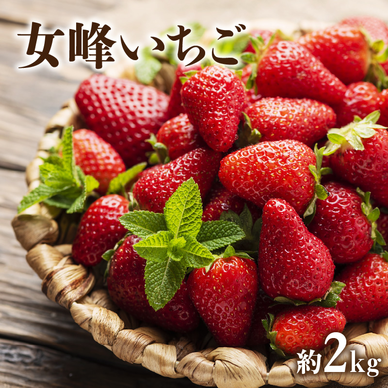 M02-0029_【1月上旬より順次発送】女峰いちご約2kg
