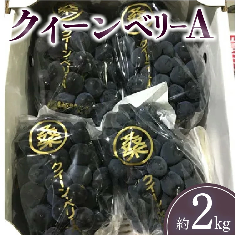 M02-0060_クイーンベリーA 約2kg