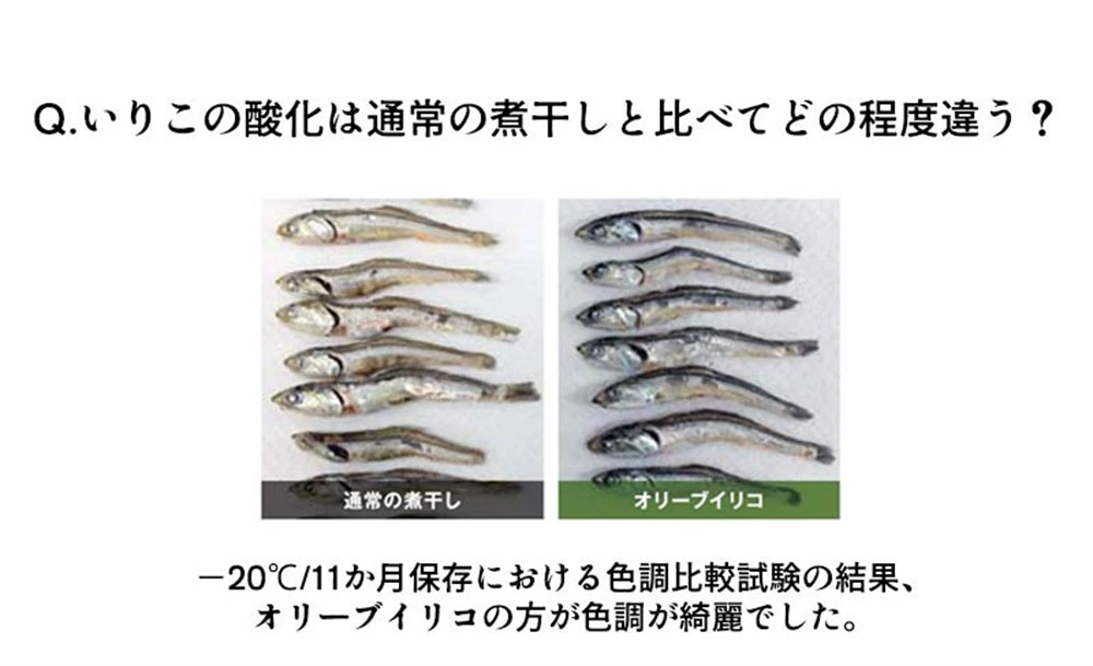 M70-0004-3_香川県三豊市産 オリーブいりこ大羽1kg