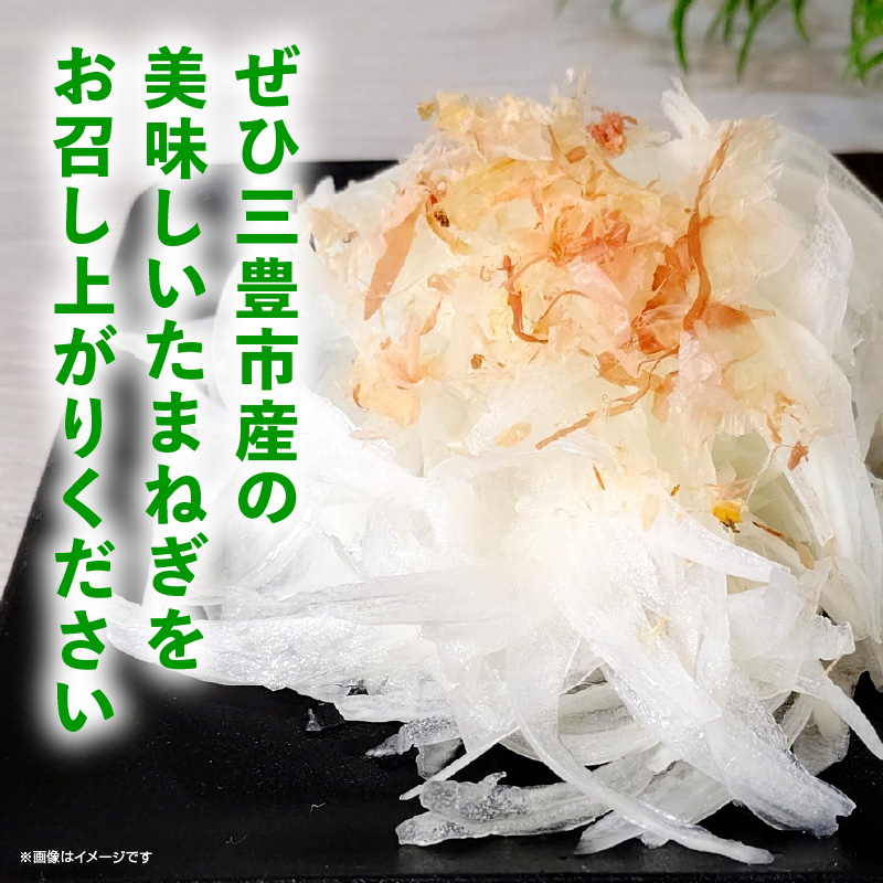 M02-0211_三豊市のたまねぎ　約10kg