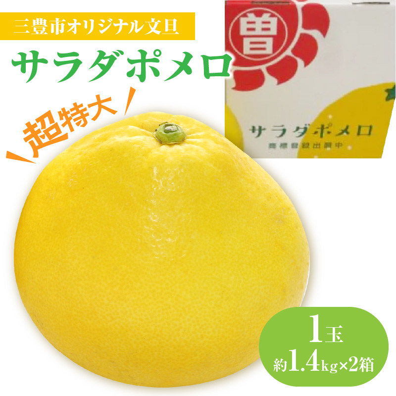 M02-0086_【ふるさと納税】三豊市オリジナル文旦「サラダポメロ」 超特大