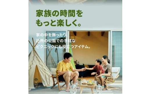 M71-0003-2_ããµãããšçŽçšãchabu table Mitoyo Indian(Green)