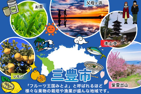 M05-0015_僕と私の本棚