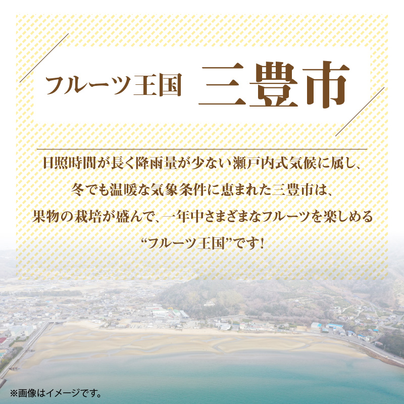 【配送不可地域：北海道・沖縄県・離島】産地厳選三豊のフルーツ３回定期便D_M64-0038