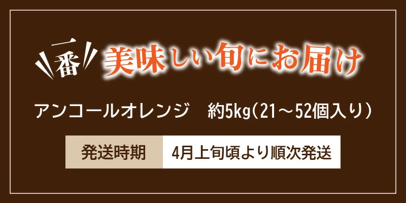 M02-0106_希少な果実!「アンコールオレンジ」 約5kg