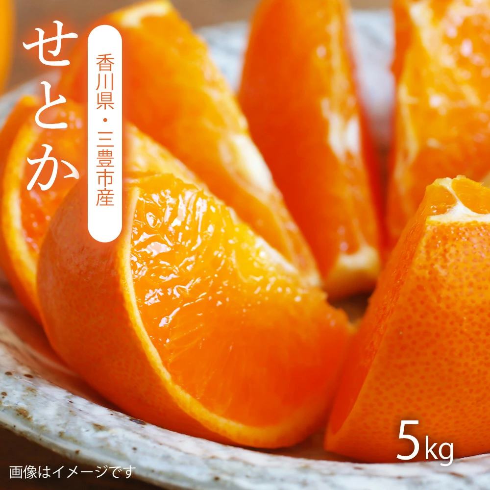 M64-0084_せとか 三豊市産 約5kg