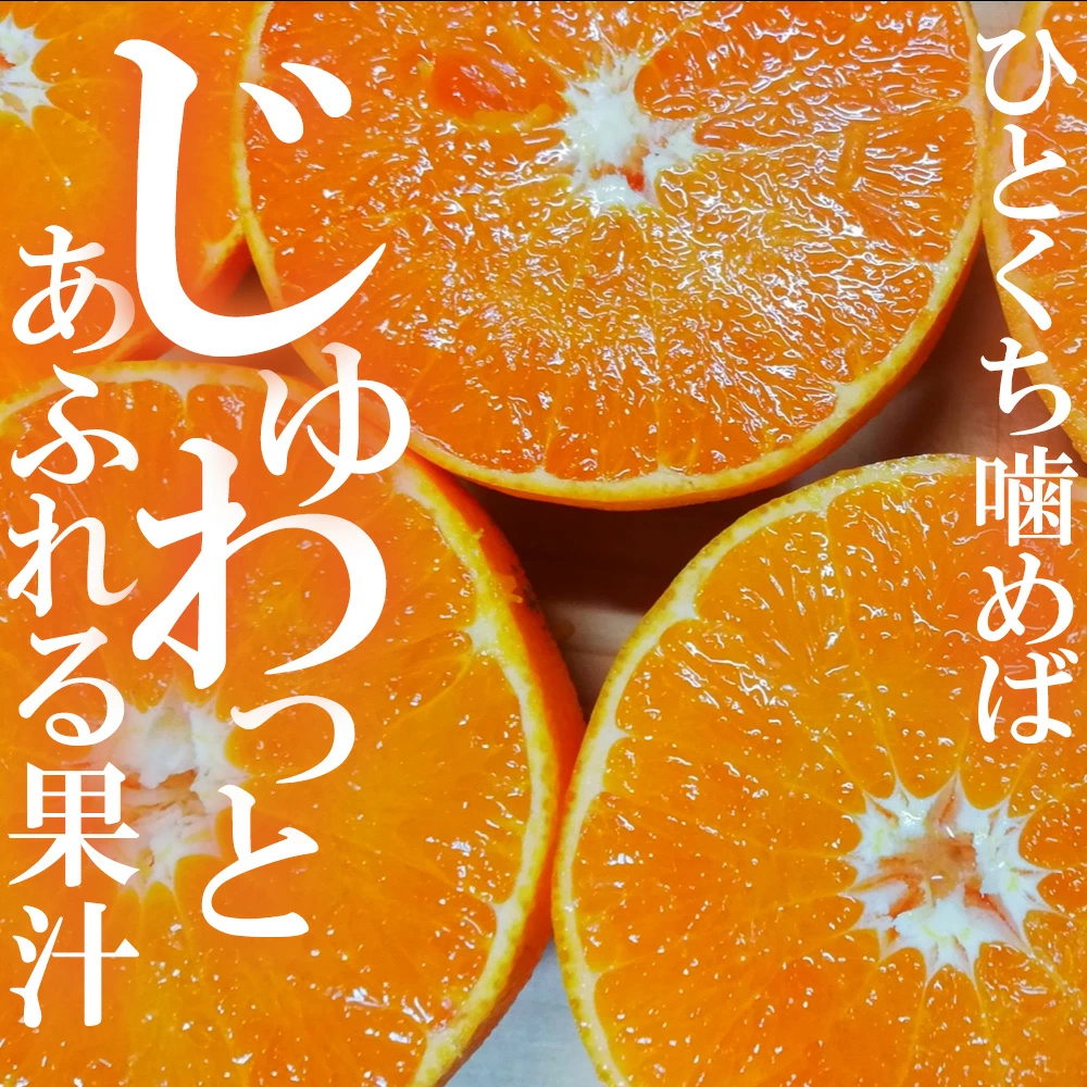 M64-0084_せとか 三豊市産 約5kg