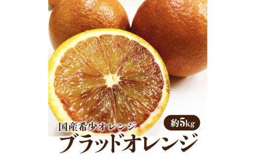 M02-0020_åœç£åžå°ãªã¬ã³ãž ããã©ãããªã¬ã³ãžã çŽ5kg