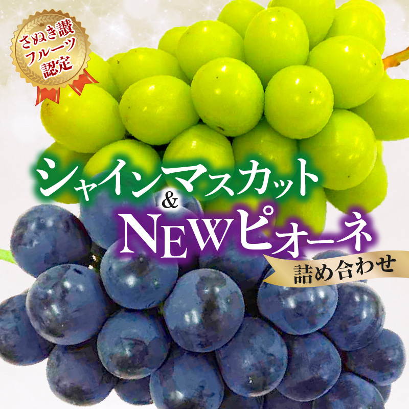 M72-0004_【7月中旬から】【さぬき讃フルーツ】シャインマスカット&NEWピオーネ詰め合わせ