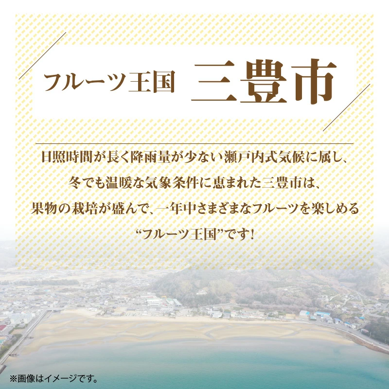 【配送不可地域：北海道・沖縄県・離島】産地厳選三豊のフルーツ３回定期便Ｂ_M64-0021