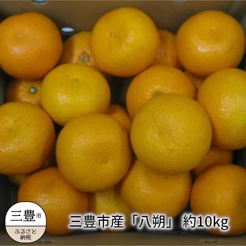 【先行予約】三豊市産「八朔」 約10kg_M02-0085