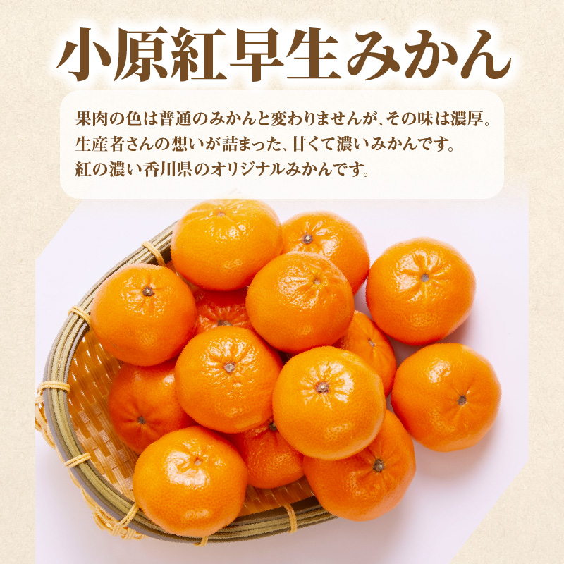 M64-0049_産地厳選三豊のフルーツ3回定期便 I