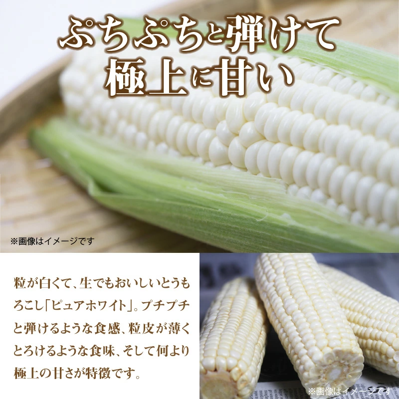 M02-0050_ホワイトコーン「ピュアホワイト」約4.5kg